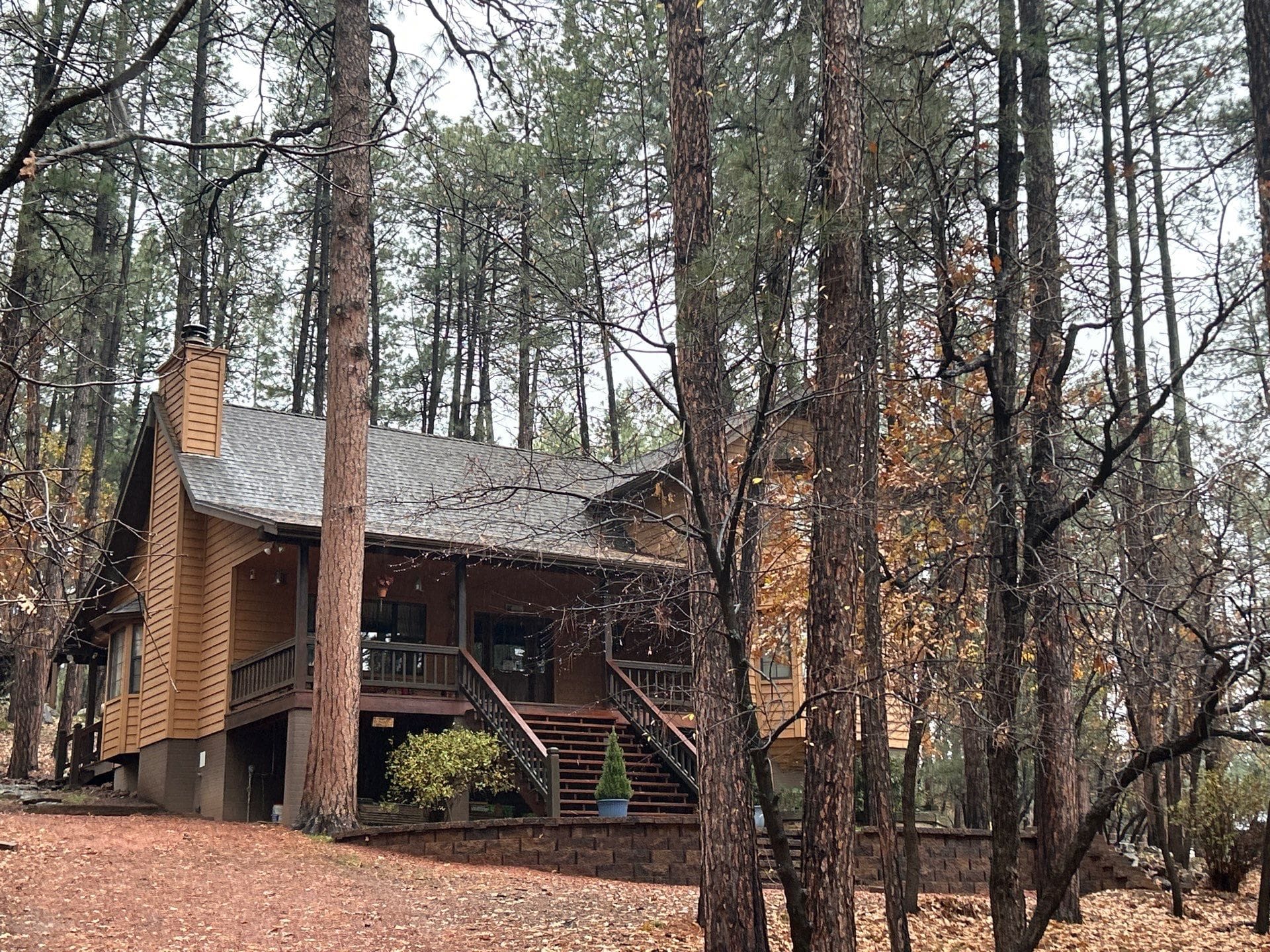 New gray architectural shingle roof on a cedar-sided cabin with a wraparound deck, surrounded by tall ponderosa pines in Pine, Arizona